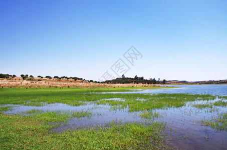 阿米埃拉绿色阿尔克瓦欧洲葡萄牙Amamiira村附近的Alqueva湖背景