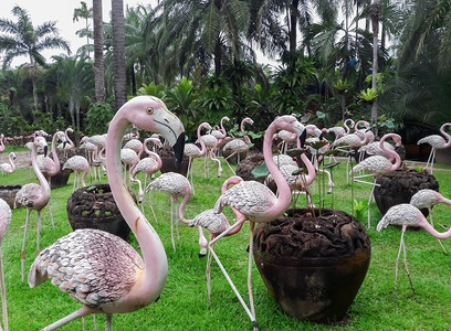 火烈鸟装饰品美丽的地面植物用于花园装饰的鸟类雕像背景