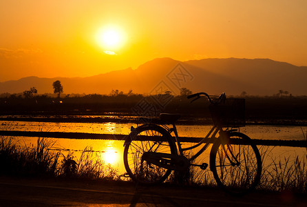 夏天优质的自行车内日落景观图片