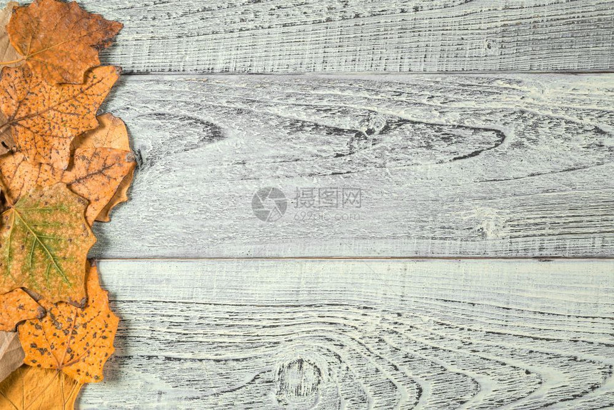 木纹背景上的秋叶图片