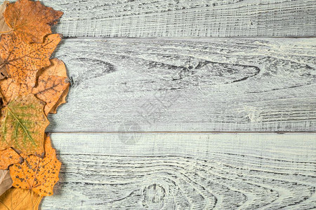 木纹背景上的秋叶背景图片