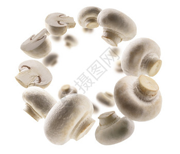 空气坠落白色蘑菇漂浮在背景上蘑菇漂浮在背景上蔬菜图片