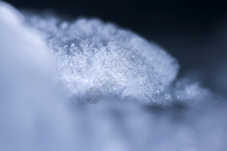 那里摄影粮食冬天的雪白宏观照片天气如此寒冷在冰点附近会有雪笑声图片