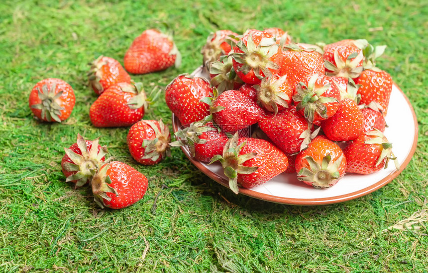 绿色成熟一种个小盘子满了青草上新鲜红莓的小盘子青草地上满有莓图片