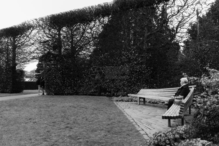 小路坐在苏格兰爱丁堡皇家植物园的公长椅上女人落下一种图片
