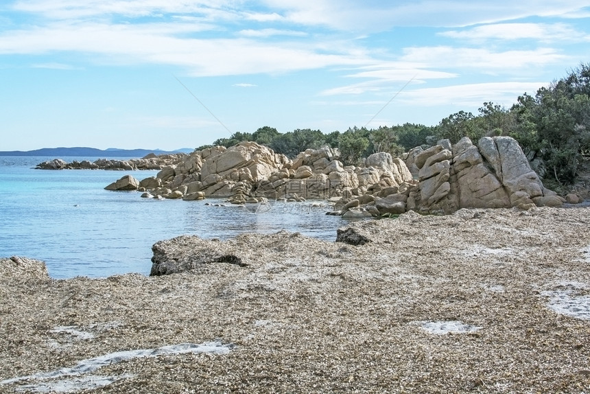 意大利语斯梅拉达欧洲3月在意大利萨尔丁亚州科斯塔梅拉尔达岛冬季海滩上的绿水和干海草3月在科斯塔梅拉尔达岛冬季海滩上的绿水和干海草图片