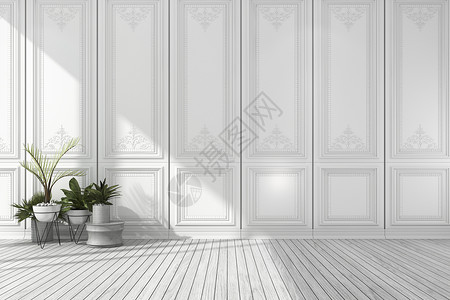 舒适3d空白色经典房间配有漂亮的墙壁板植物和木地休息大堂图片
