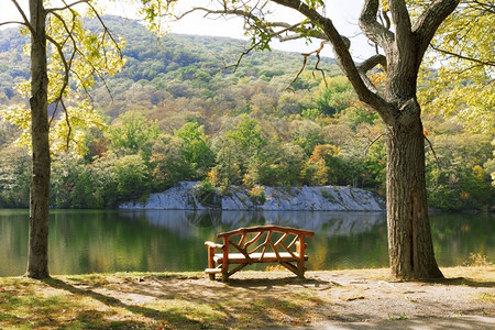 美丽的森林湖景色木头平静的冷图片