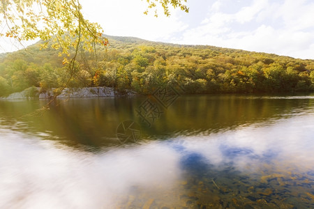 景观安静的美丽森林湖景色池塘图片