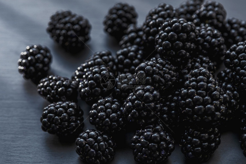 浆果枝条配料在灰色桌面上对多汁和美味的黑莓水果进行仔细观察选择焦点新鲜水果中的维生素概念图片