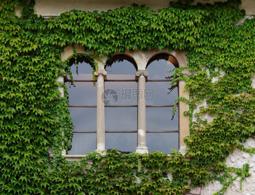 斯洛文尼亚有常春藤的城堡窗口波隆斯基结石古老的图片