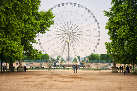 骑乐无穷旅行城市男人a在法国巴黎图利里花园的肥轮车背景