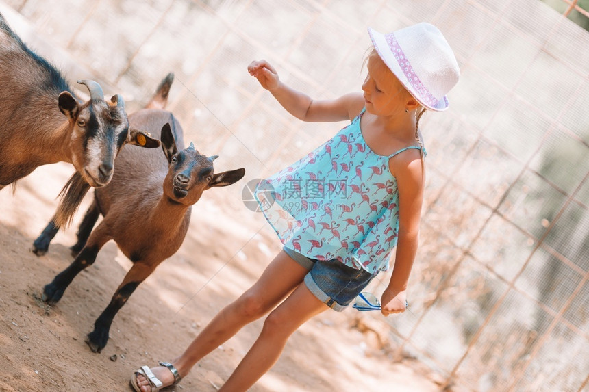 爱好动物园里的小可爱女孩带着一只可爱的小山羊动物园里的小女孩带着一只可爱的小山羊细节摄影图片