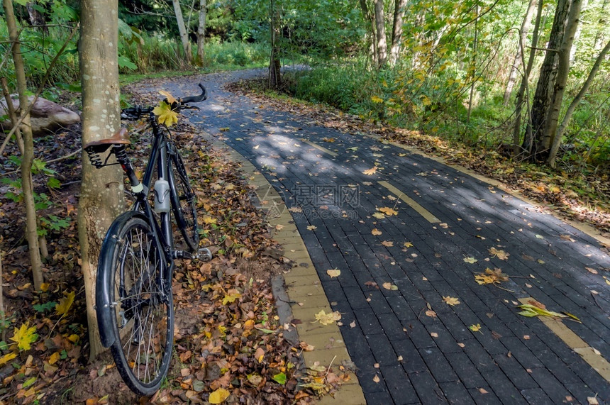 骑自行车穿越秋天的森林放松和骑自行车的人穿越树林骑自行车的人穿越树林粉彩运动景观图片