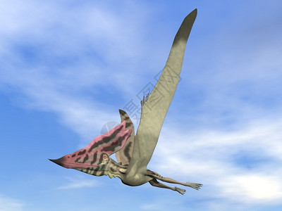 恐龙鸟Thalassodromeus史前鸟类在蓝天中飞行3D渲染史前鸟类飞行渲染动物插图荒野设计图片
