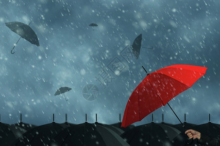 不同的安全家庭数据保护在风暴中红色伞式的图片