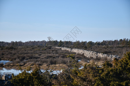 斯道拉一种在瑞典奥兰岛平原地貌的古老干石墙灰图片