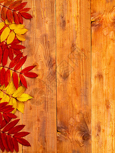 木桌上的秋叶背景背景图片