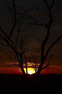 田园诗般的晚上美丽日落自然颜色红图片