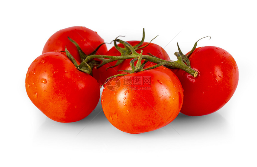 植物湿的美味白色背景红美味新鲜番茄图片