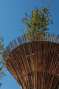 亭建筑的国际越南2015年米兰越南博览会馆的圆柱形竹木结构图片