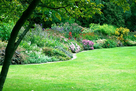 夏天红色的英国伦敦Regentrrsquos公园的多彩花卉图片