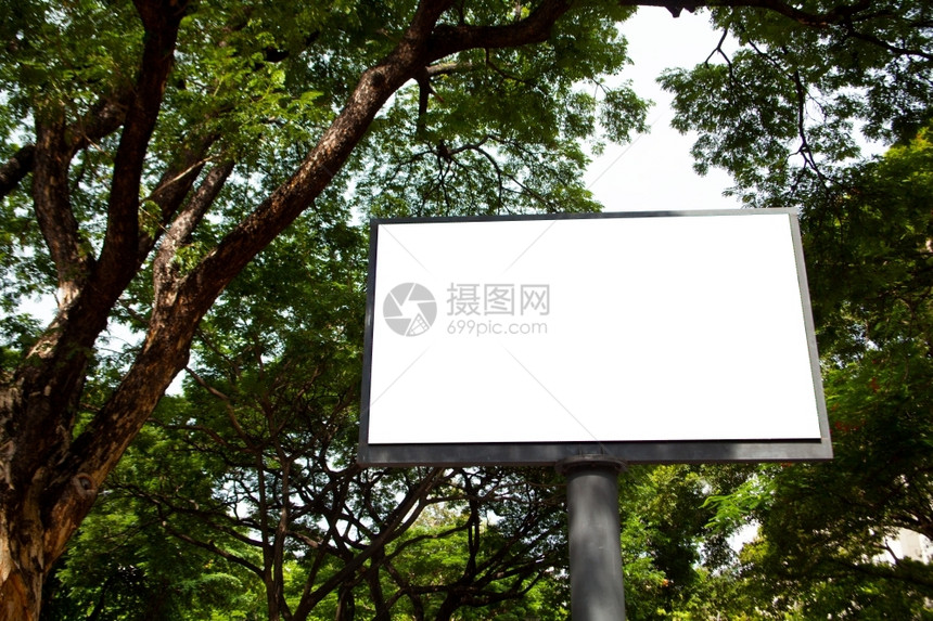 控制板广告公园内高树上的白板写着招牌场景图片
