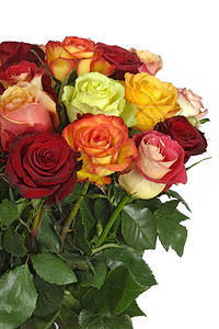一束多色玫瑰花聚焦于中玫瑰花感爱橙背景图片