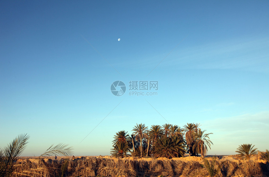 上午在突尼斯撒哈拉沙漠萨蓝色的丘风险图片