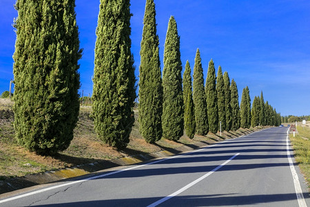 惊人的意大利托斯卡纳典型农村景象路条和道风景优美画报图片