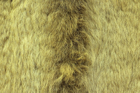 棕色的欧洲Lynx纹身毛皮真正的猎动物毛皮自然纺织品图片
