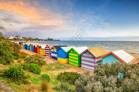布莱顿景观澳大利亚墨尔本Brighton海滩多彩的小屋美丽令人惊叹背景