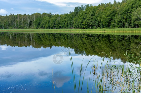 移动森林自然池湖或捕鱼渔业塘绿化美丽的池塘森林自然包括钓鱼独立图片