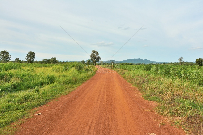 泰国农村的泥土道路背景中有一棵树环境乡村的云图片