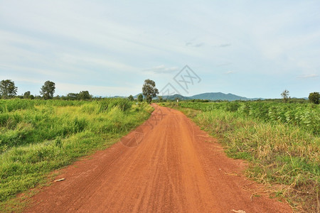 泰国农村的泥土道路背景中有一棵树环境乡村的云图片