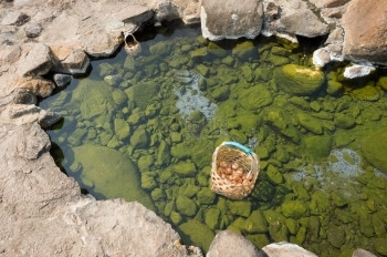 木头陡温泉煮鸡蛋在泰国出差旅行浸泡图片