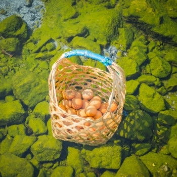 吃温泉煮鸡蛋在泰国出差旅行结石浸泡图片