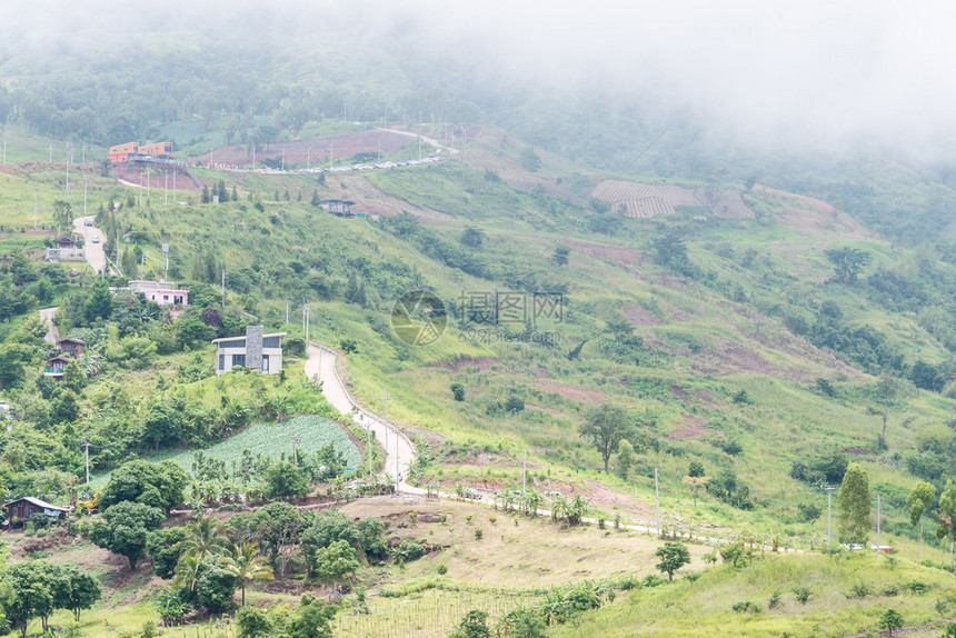 风景多雾路段曲线柏油在清晨雾中爬到高山顶草地图片