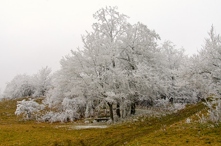 风暴浪漫的冬季景霜天气图片