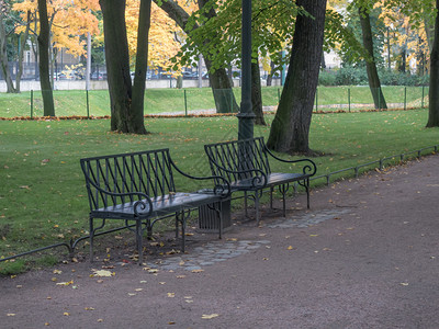 早晨自然秋天公园的季市政十月图片