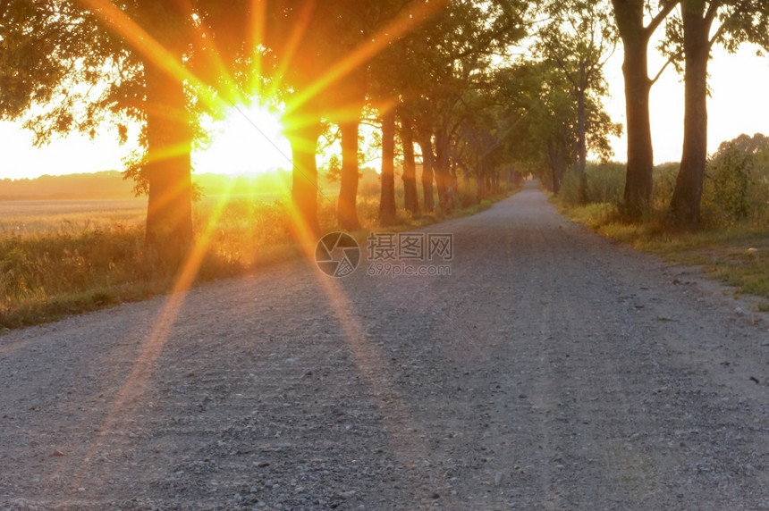 夏天森林夕阳下的乡间小路阳光下的土上小巷阳光下土路上小巷夕阳下乡间小路景观图片