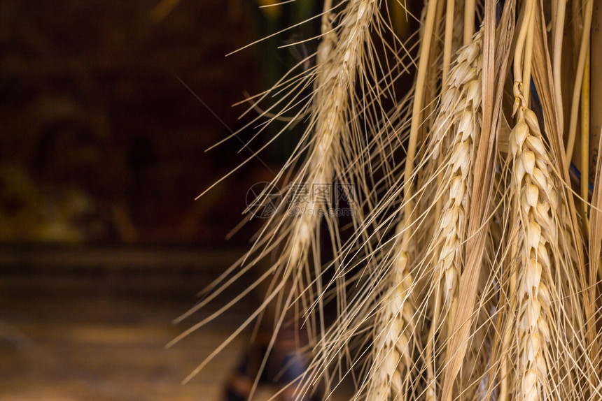 泰国农村民在田间被稻人吊死桩自然农业图片
