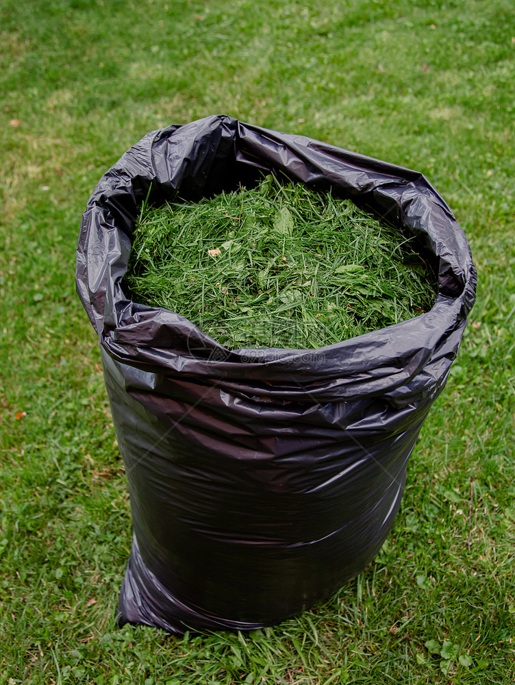 植物用黑色草屑袋修剪家庭花园草坪在新修剪的草坪上用黑色塑料袋剪草屑用黑色袋修剪家庭花园草坪环境农业图片