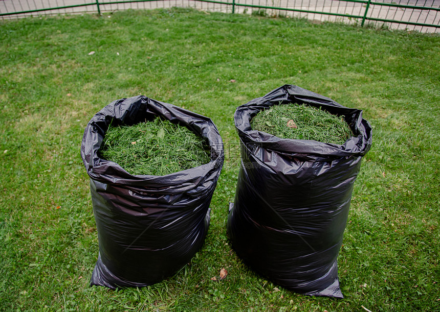 垃圾绿色桩用黑草屑袋修剪家庭花园草坪在新修剪的草坪上用黑色塑料袋剪草屑用黑色袋修剪家庭花园草坪图片