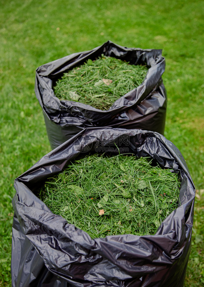 割草机关心垃圾用黑色草屑袋修剪家庭花园草坪在新修剪的草坪上用黑色塑料袋剪草屑用黑色袋修剪家庭花园草坪图片