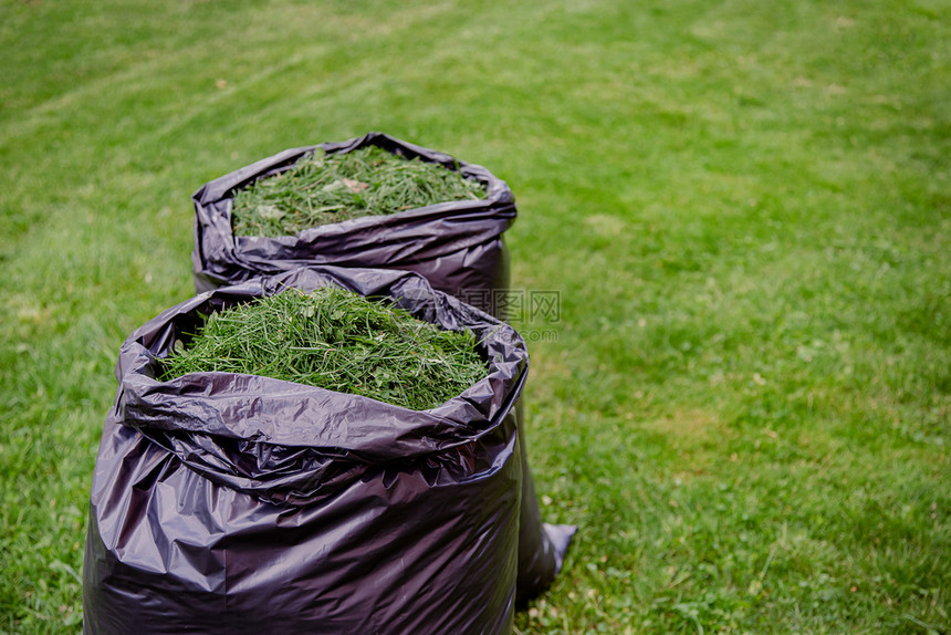 用黑色草屑袋修剪家庭花园草坪在新修剪的草坪上用黑色塑料袋剪草屑用黑色袋修剪家庭花园草坪回收解雇刀具图片