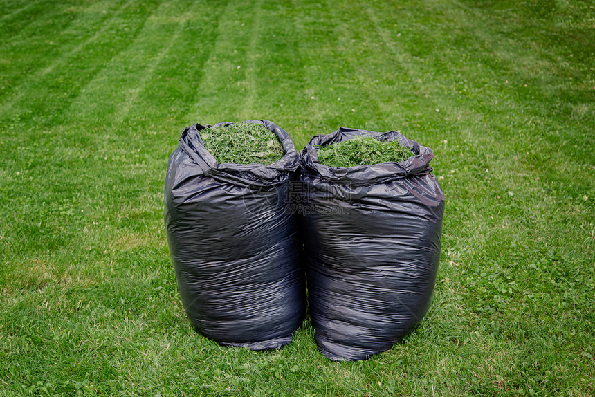 用黑色草屑袋修剪家庭花园草坪在新修剪的草坪上用黑色塑料袋剪草屑用黑色袋修剪家庭花园草坪垃圾一种发动机图片