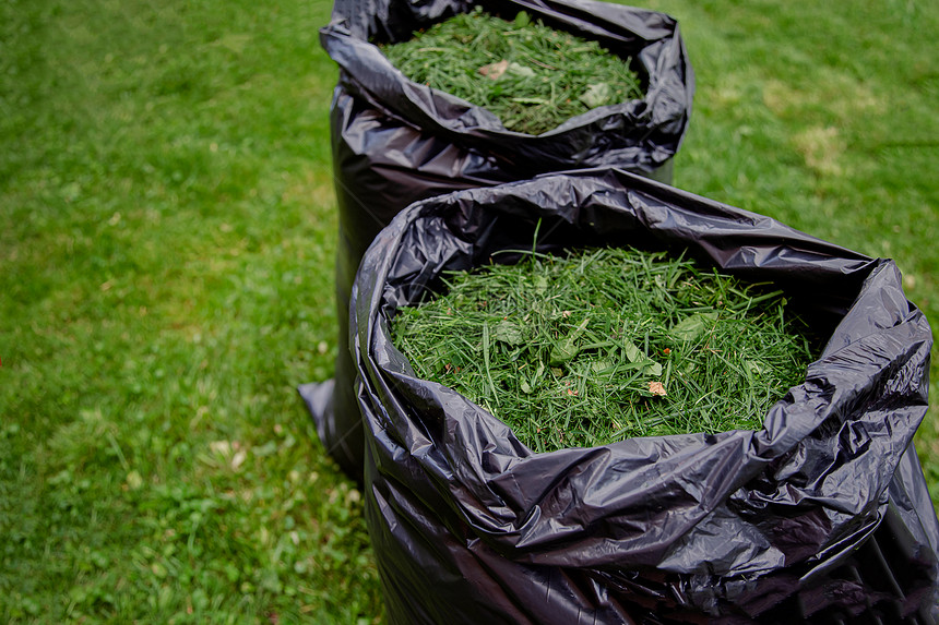 园艺绿色用黑草屑袋修剪家庭花园草坪在新修剪的草坪上用黑色塑料袋剪草屑用黑色袋修剪家庭花园草坪自然图片