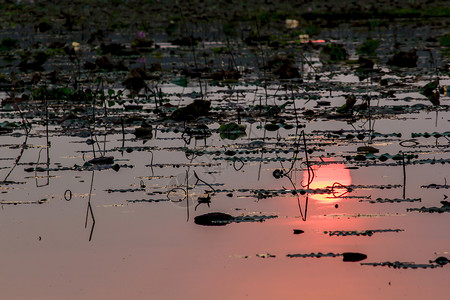 夕阳在水面上的剪影地平线天空自然图片