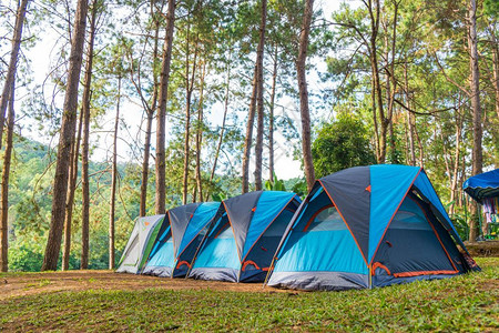 睡觉优质的闲暇在草地上扎营帐篷在公园区周末背景图片